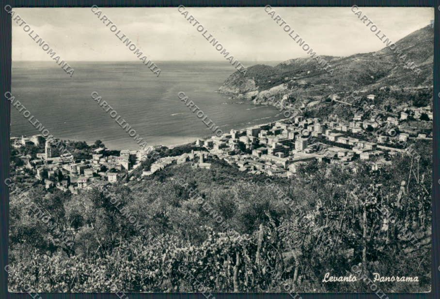 La Spezia Levanto Panorama foto FG cartolina BB2035 – fronte