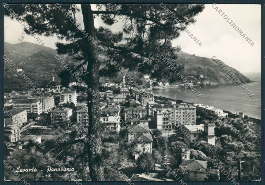 La Spezia Levanto Panorama foto FG cartolina BB2055 – fronte