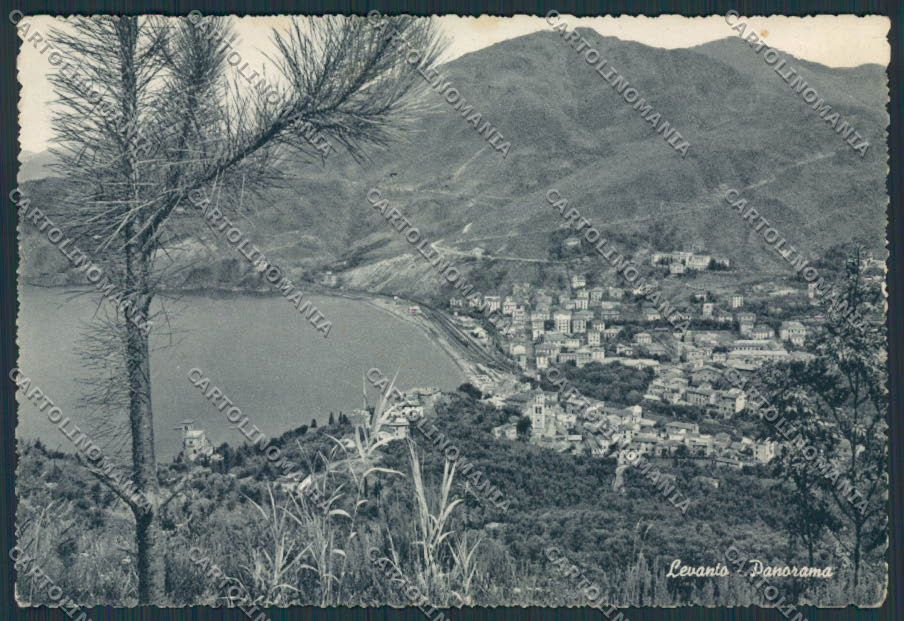 La Spezia Levanto Panorama FG cartolina BB2061 – fronte