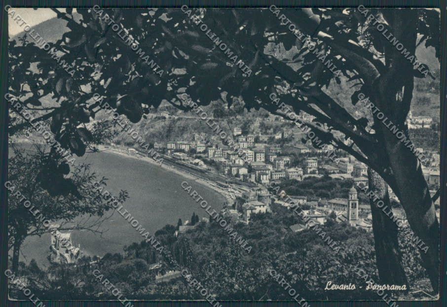 La Spezia Levanto Panorama FG cartolina BB2066 – fronte