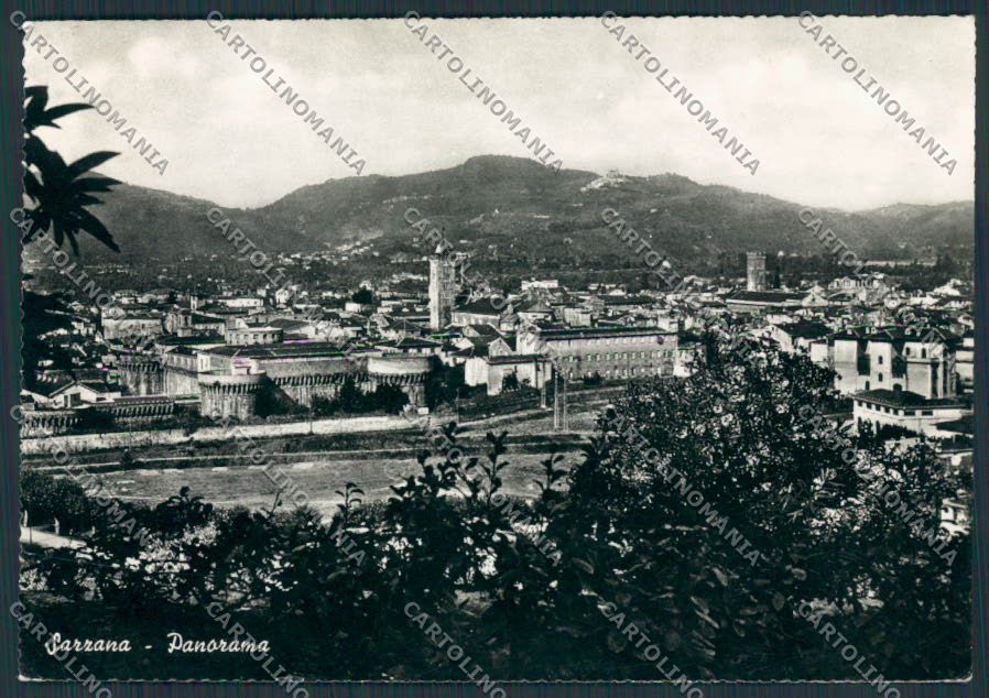 La Spezia Sarzana Panorama foto FG cartolina BB2111 – fronte