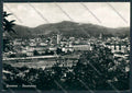 La Spezia Sarzana Panorama foto FG cartolina BB2111 – fronte
