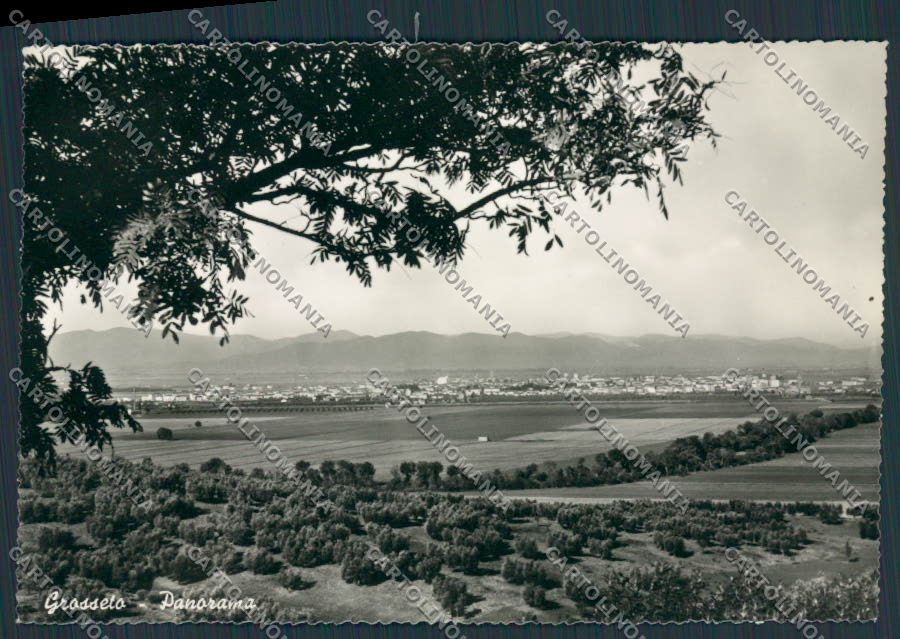 Grosseto Città Panorama foto FG cartolina BB2187 – fronte