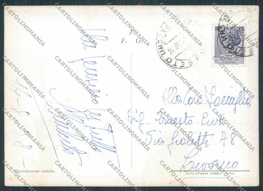 Grosseto Città saluti da Vedutine FG cartolina BB2194 – retro