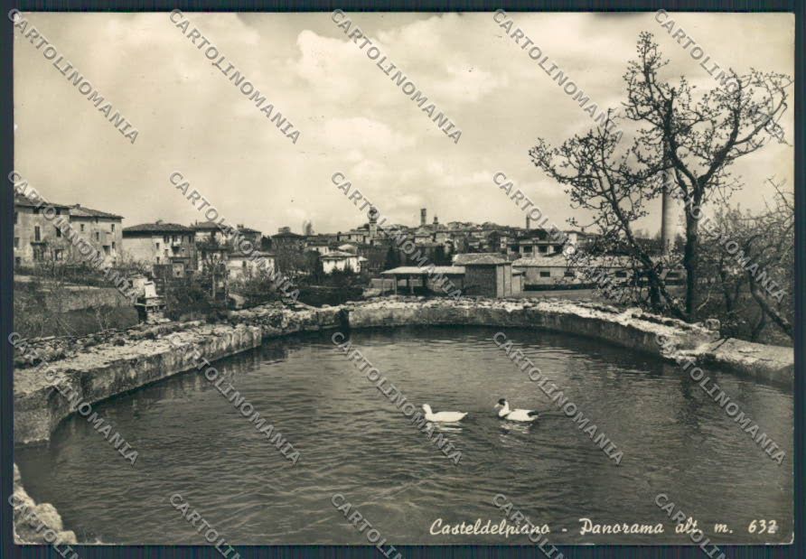Grosseto Castel del Piano Panorama foto FG cartolina BB2227 – fronte