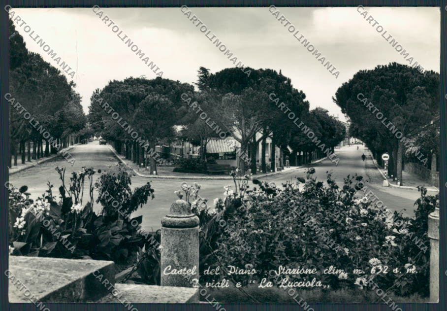 Grosseto Castel del Piano la Lucciola foto FG cartolina BB2228 – fronte