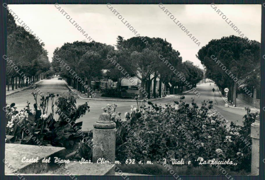 Grosseto Castel del Piano la Lucciola foto FG cartolina BB2236 – fronte