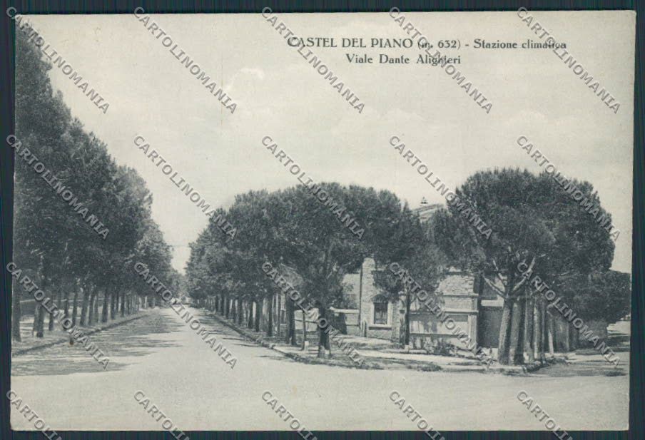 Grosseto Castel del Piano Viale Dante Alighieri FG cartolina BB2250 – fronte