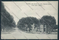 Grosseto Castel del Piano Viale Dante Alighieri FG cartolina BB2250 – fronte