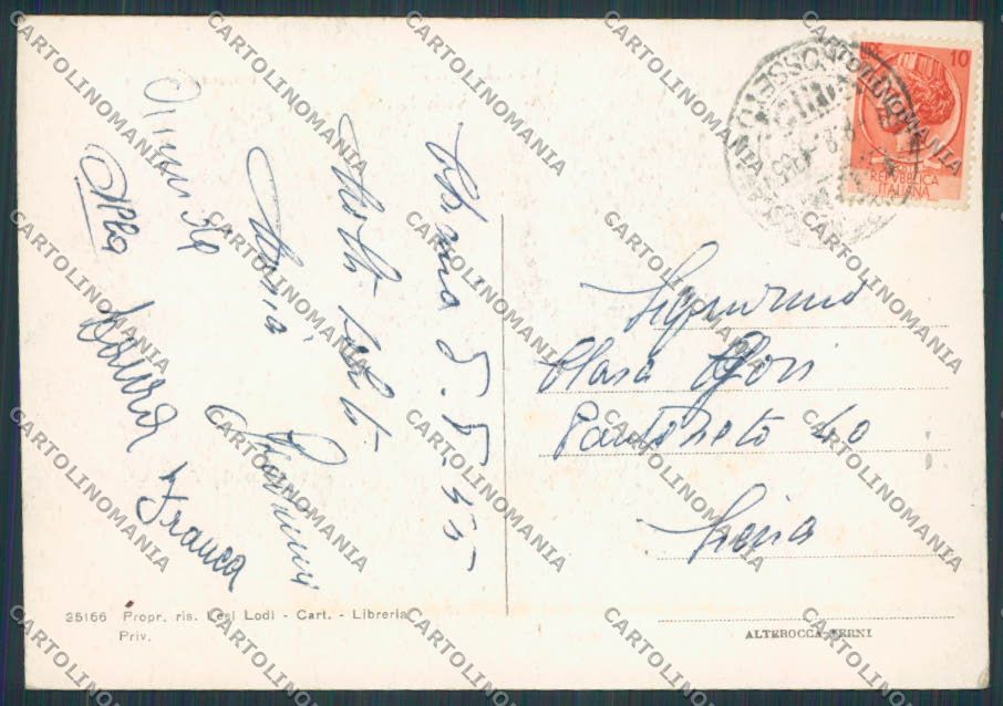 Grosseto Castel del Piano Viale Dante Alighieri FG cartolina BB2250 – retro