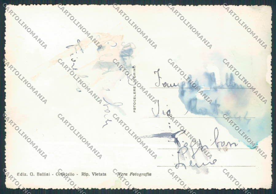 Grosseto Porto Santo Stefano Panorama foto FG cartolina BB2264 – retro