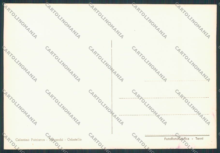 Grosseto Porto Santo Stefano Panorama foto FG cartolina BB2269 – retro