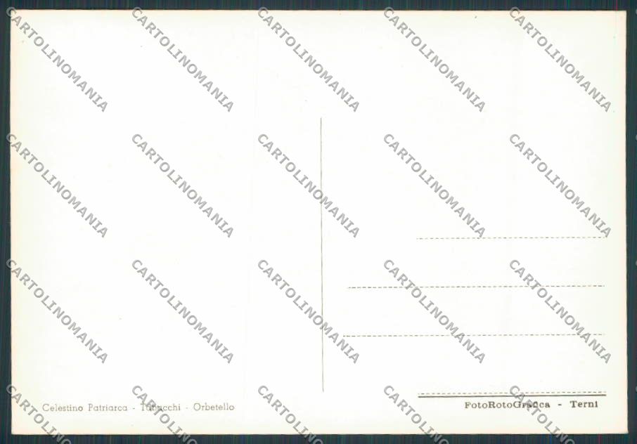 Grosseto Porto Ercole Panorama foto FG cartolina BB2291 – retro