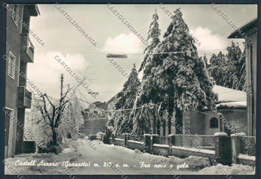 Grosseto Castell'Azzara Nevicata foto FG cartolina BB2314 – fronte