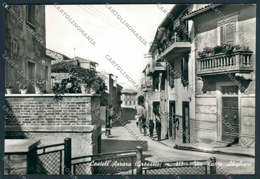 Grosseto Castell'Azzara Via Dante Alighieri foto FG cartolina BB2317 – fronte