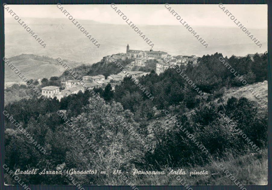 Grosseto Castell'Azzara Panorama foto FG cartolina BB2321 – fronte