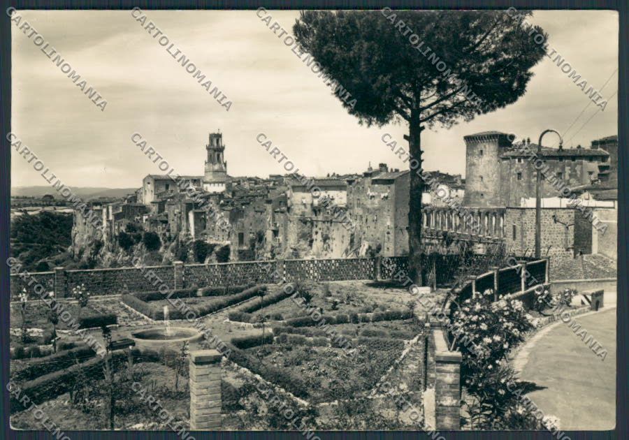 Grosseto Pitigliano Panorama foto FG cartolina BB2332 – fronte