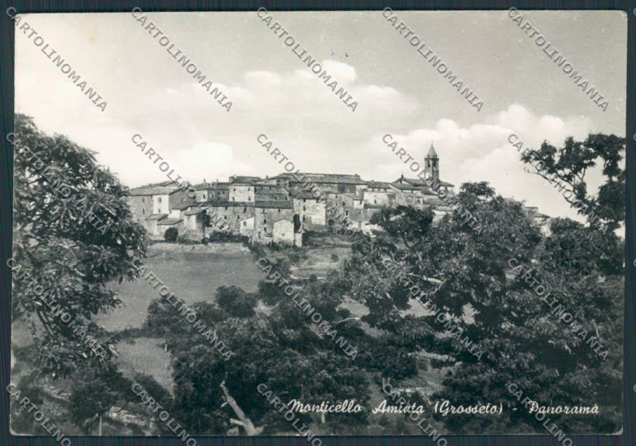 Grosseto Monticello Amiata Panorama foto FG cartolina BB2347 – fronte