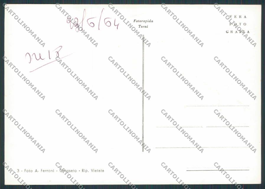Grosseto Vetulonia Scavi Etruschi foto FG cartolina BB2352 – retro