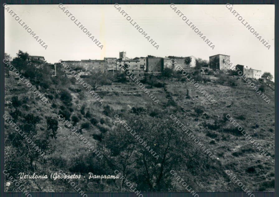 Grosseto Vetulonia Panorama foto FG cartolina BB2353 – fronte