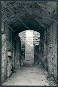 Grosseto Vetulonia Tomba Etrusca foto FG cartolina BB2355 – fronte