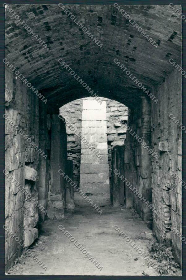 Grosseto Vetulonia Tomba Etrusca foto FG cartolina BB2355 – fronte
