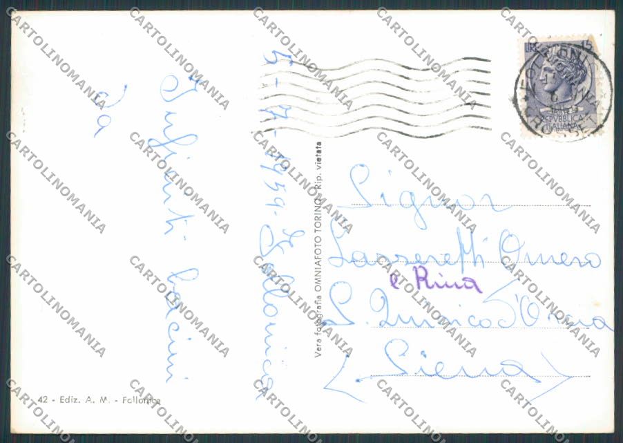 Grosseto Follonica Vedutine foto FG cartolina BB2368 – retro
