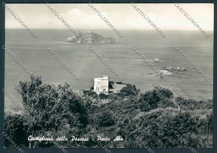 Grosseto Castiglione della Pescaia Punta Ala Sparviero foto FG cartolina BB2393 – fronte
