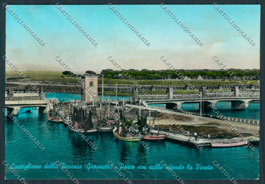 Grosseto Castiglione della Pescaia Porto foto FG cartolina BB2395 – fronte