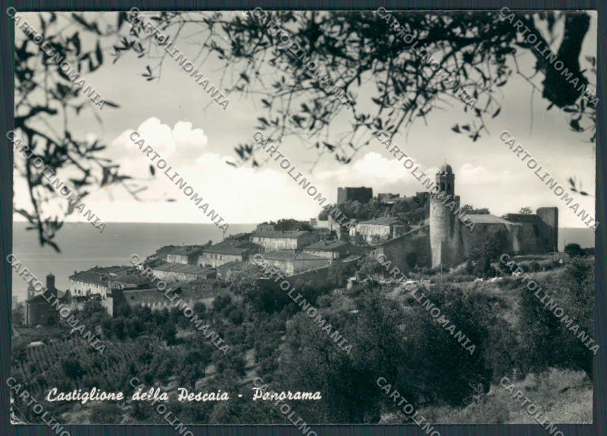 Grosseto Castiglione della Pescaia Panorama foto FG cartolina BB2398 – fronte