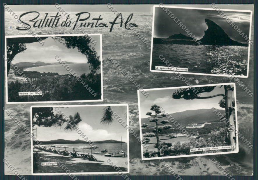 Grosseto Castiglione della Pescaia Punta Ala saluti da foto FG cartolina BB2400 – fronte
