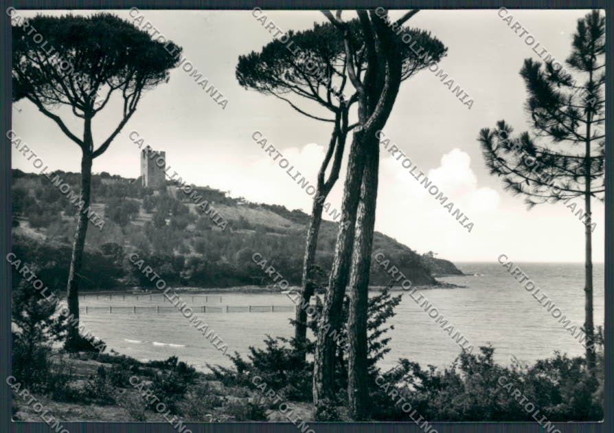 Grosseto Castiglione Pescaia Punta Ala Torre Idalgo foto FG cartolina BB2403 – fronte