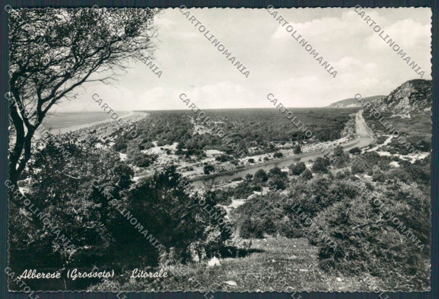 Grosseto Alberese Litorale foto FG cartolina BB2413 – fronte