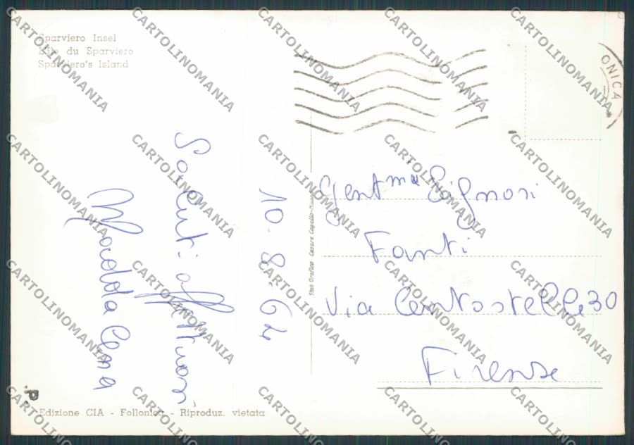 Grosseto Castiglione della Pescaia Punta Ala Sparviero FG cartolina BB2418 – retro