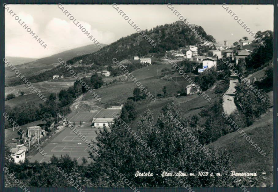 Modena Sestola tennis foto FG cartolina BB2449 – fronte