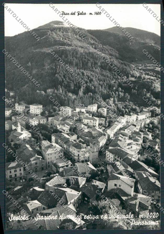 Modena Sestola Pian del Falco foto FG cartolina BB2453 – fronte