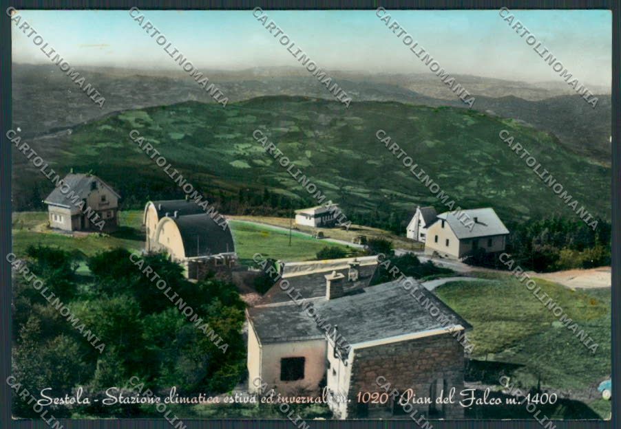 Modena Sestola Pian del Falco foto FG cartolina BB2460 – fronte
