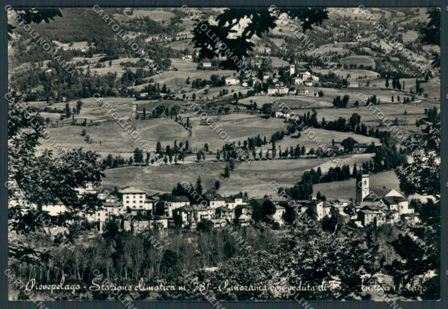 Modena Pievepelago Panorama foto FG cartolina BB2492 – fronte