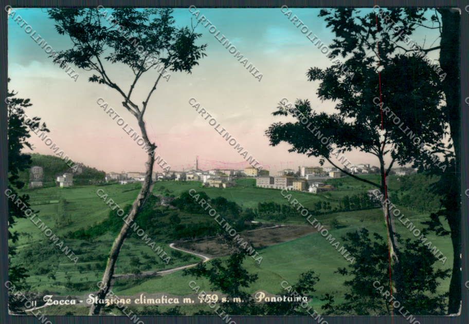 Modena Zocca Panorama ABRASA foto FG cartolina BB2523 – fronte