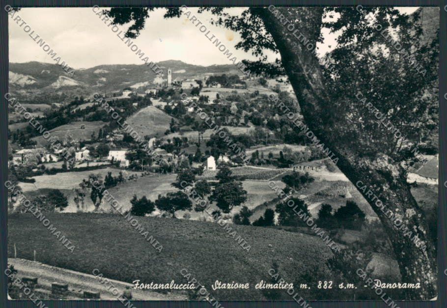 Modena Fontanaluccia Panorama foto FG cartolina BB2544 – fronte