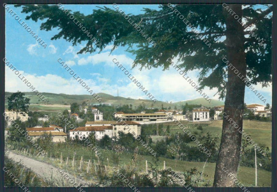 Modena Frassinoro Panorama foto FG cartolina BB2550 – fronte