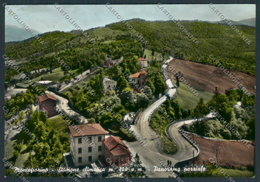 Modena Montefiorino Panorama foto FG cartolina BB2562 – fronte