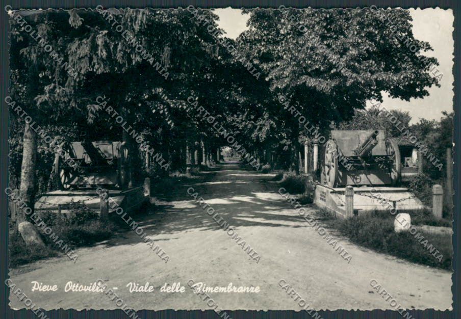 Parma Pieve Ottoville Viale delle Rimembranze Cannoni foto FG cartolina BB2698 – fronte