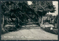 Parma Pieve Ottoville Viale delle Rimembranze Cannoni foto FG cartolina BB2698 – fronte