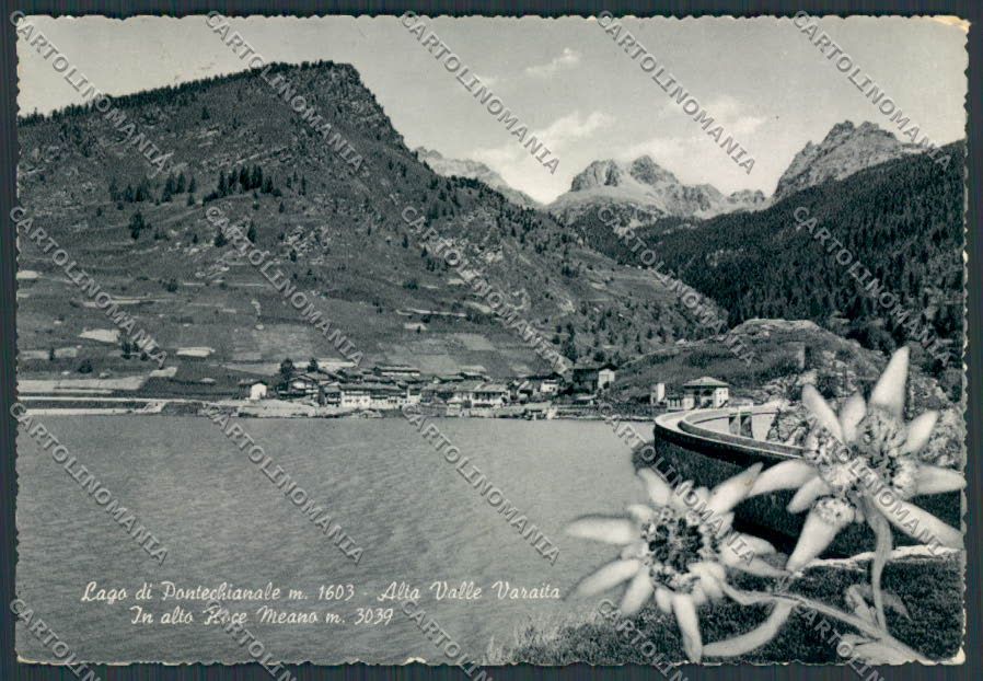 Cuneo Valle Varaita Lago Pontechianale foto FG cartolina BB2701 – fronte