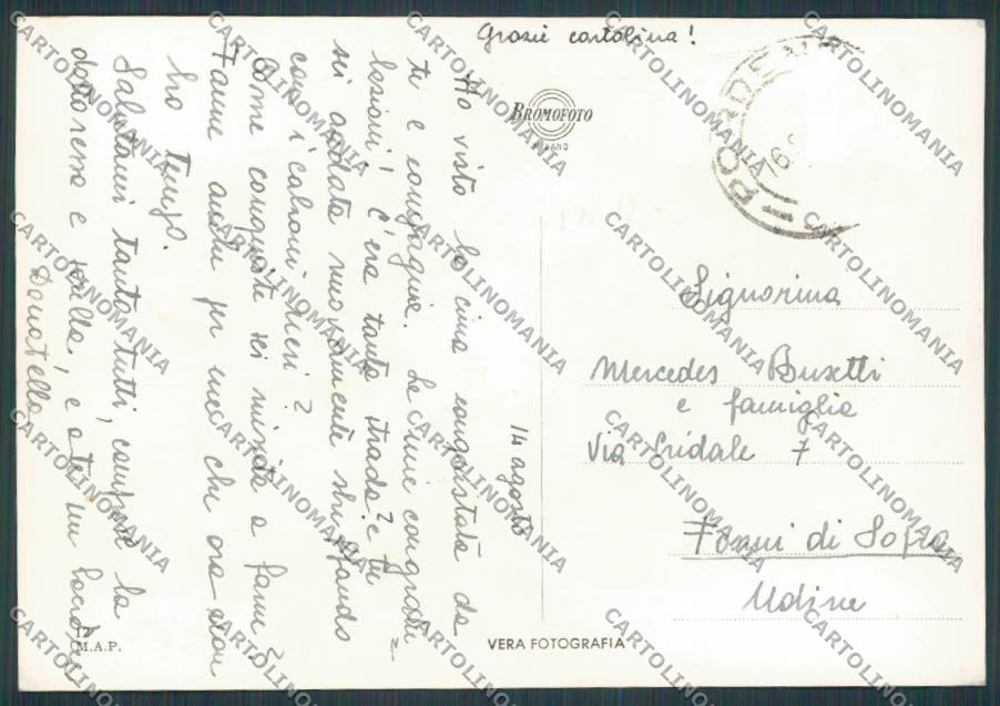 Pordenone Città saluti da Vedutine foto FG cartolina BB2709 – retro