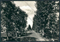 Pordenone Casarsa Viale foto FG cartolina BB2730 – fronte