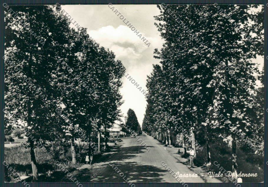 Pordenone Casarsa Viale foto FG cartolina BB2730 – fronte