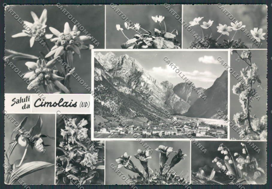 Pordenone Cimolais saluti da foto FG cartolina BB2810 – fronte