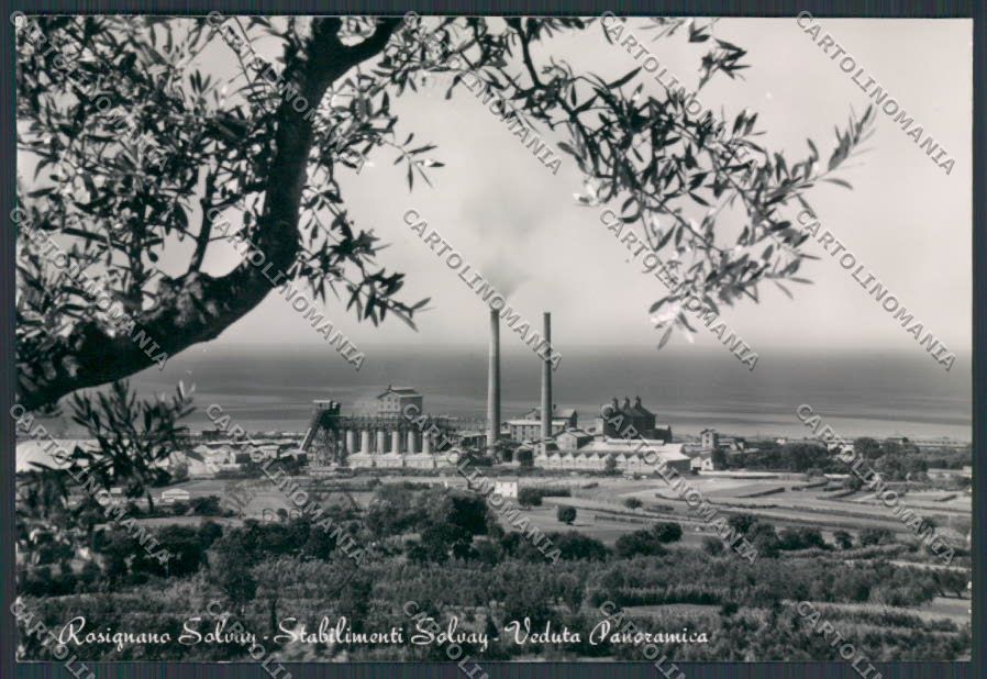 Livorno Rosignano Solvay Stabilimenti foto FG cartolina BB2851 – fronte